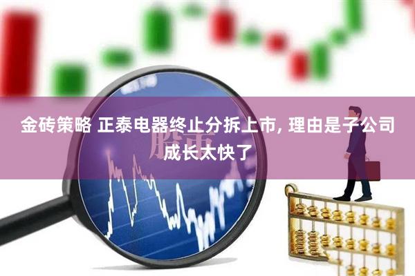 金砖策略 正泰电器终止分拆上市, 理由是子公司成长太快了