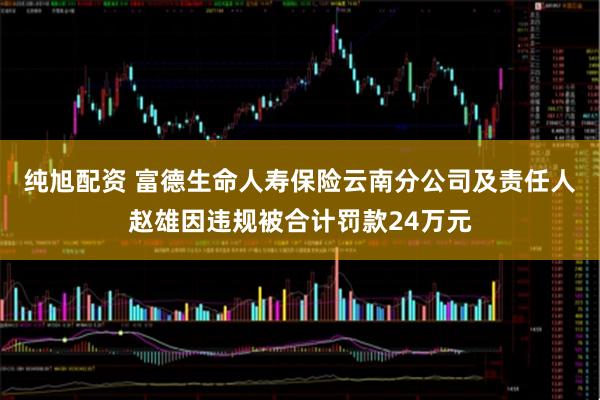 纯旭配资 富德生命人寿保险云南分公司及责任人赵雄因违规被合计罚款24万元