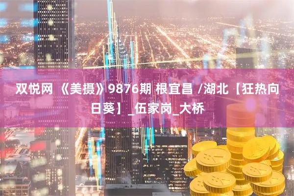 双悦网 《美摄》9876期 根宜昌 /湖北【狂热向日葵】_伍家岗_大桥